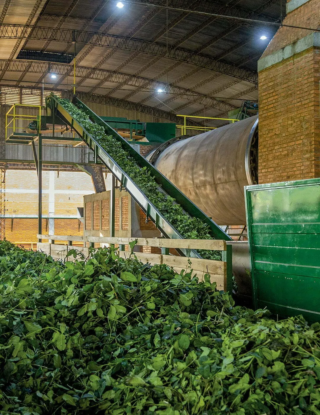 Línea de producción de La Bombilla
