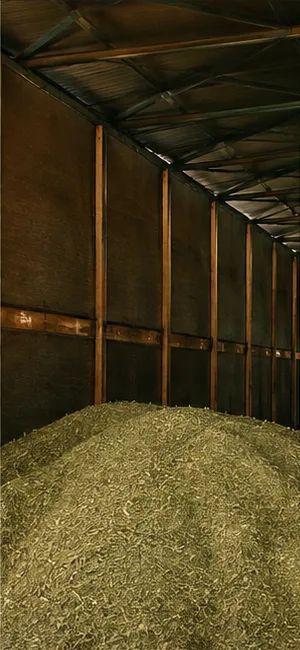 Interior del recinto de estacionamiento de yerba mate