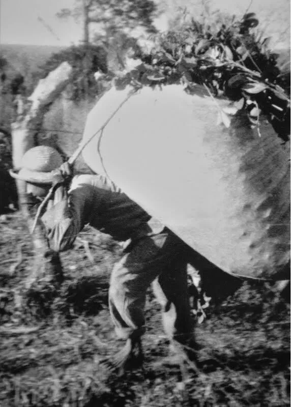 Cuidado en la elaboración de la yerba mate